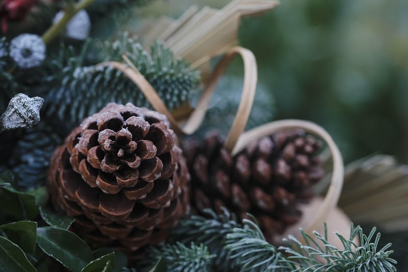 Pinecone Candles